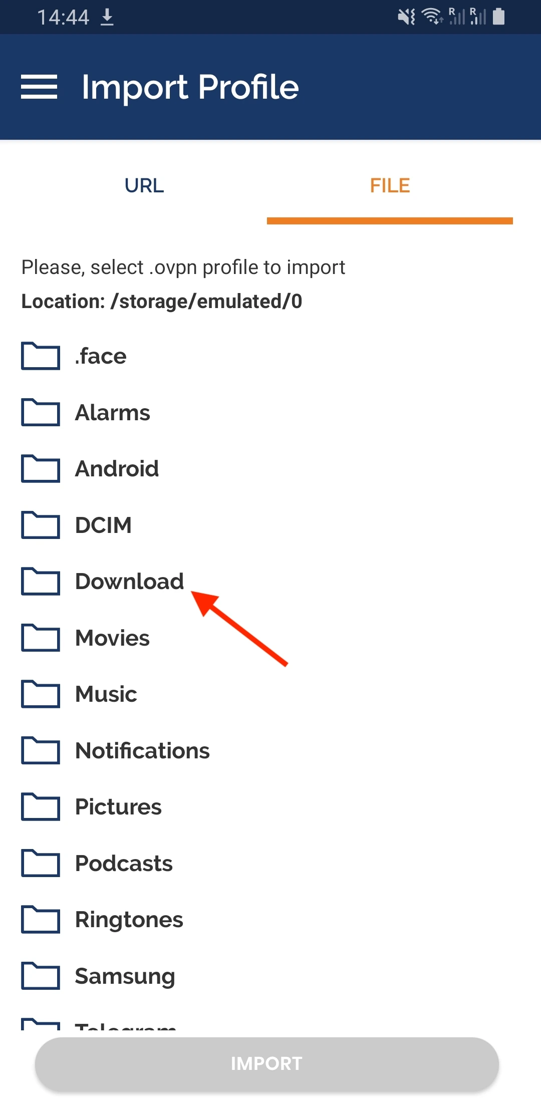Найдите скачанный файл-ключ